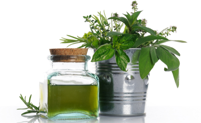 Using Your Herbs for Health and Healing