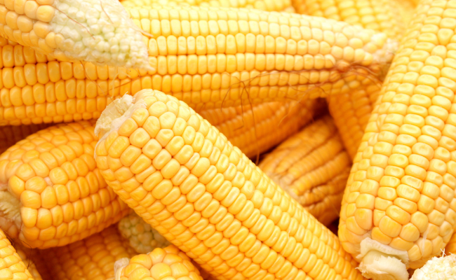 What is Corn-Based Plastic PLA?