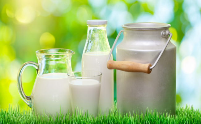 What is Organic Milk?