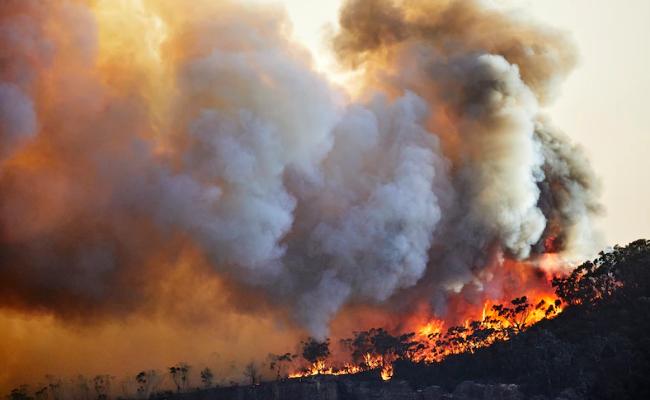 Impacts of the Black Summer Bushfires on the Ozone Layer