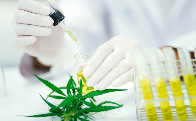 CBD For GAD — What Australian Scientists Discovered About CBD For Stress