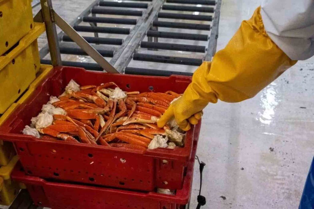 Twenty Filipinos  were brought to Newfoundland and Labrador to work in a crab plant but are sidelined by stalemated bargaining between seafood workers union and plant owners. CBC