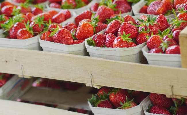 Discover the Culprit Behind California's Mediocre Strawberries This Year