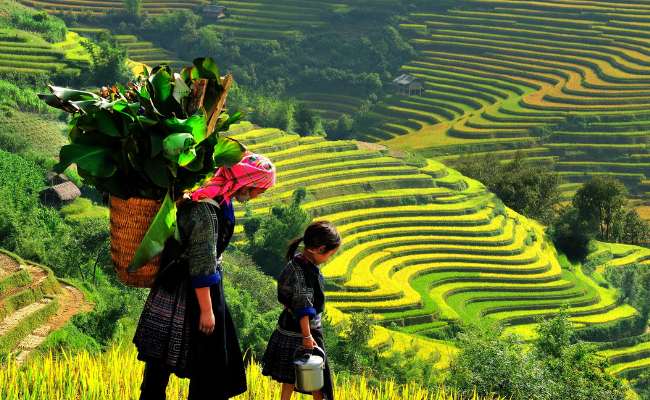 Banaue Rice Terraces: A Majestic Marvel of the Philippines
