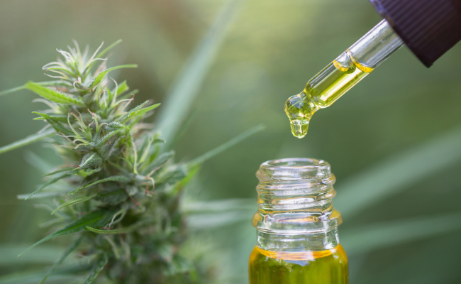 Can CBD Oil Be Beneficial For Senior Citizens?