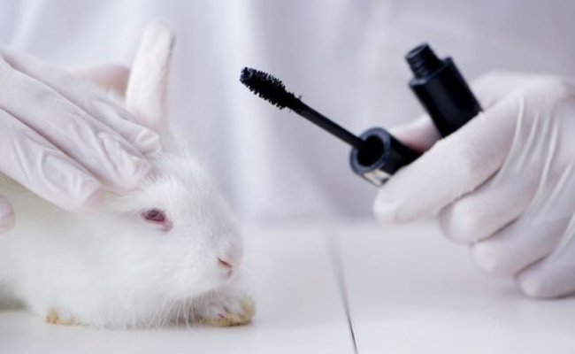 Common Myths about Cruelty-Free Skincare