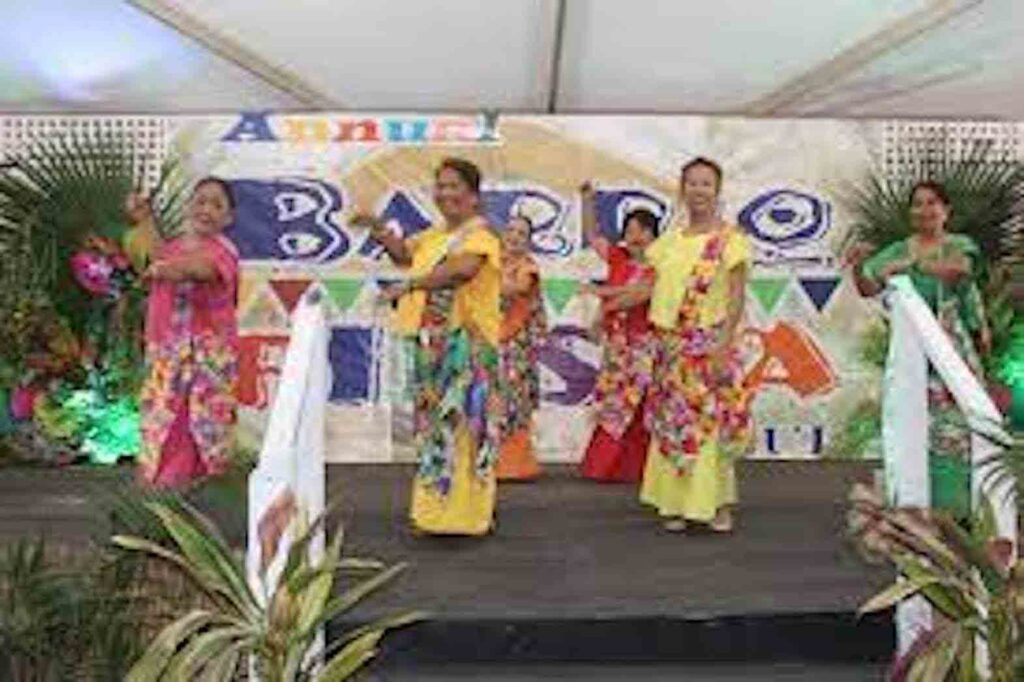 "Summer at Binhi at Ani" Filipino Community Center classes will start June 26 and end on July 27. FACEBOOK