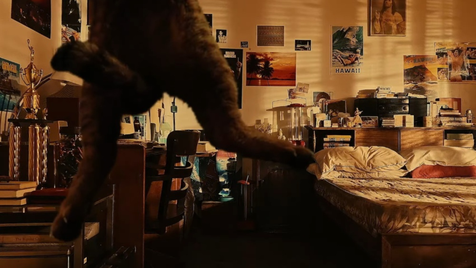 ‘X’-rated Filipino film ‘Bold Eagle’ joins New York Film Fest 2023 lineup ▶