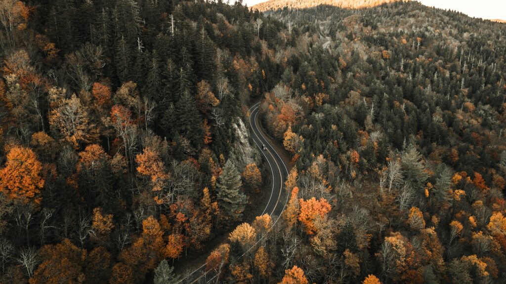 Fall foliage in the US: Blue Ridge Mountains