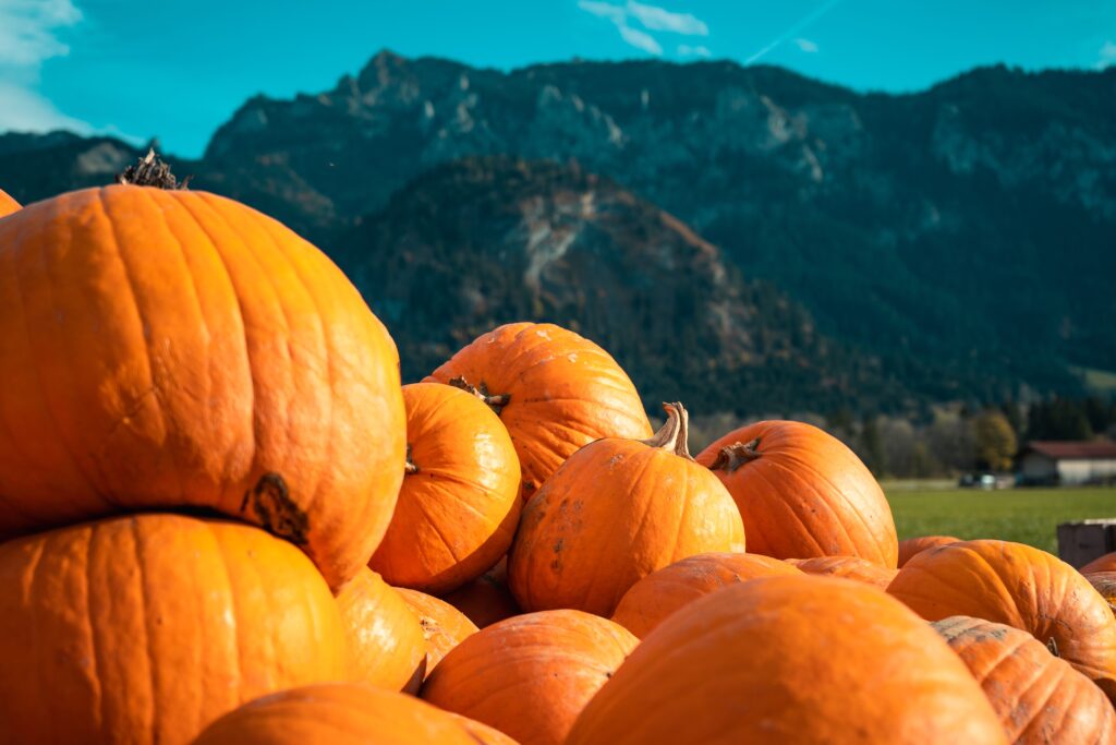 Several pumpkins of different sizes stacked on top of each other behind a mountain