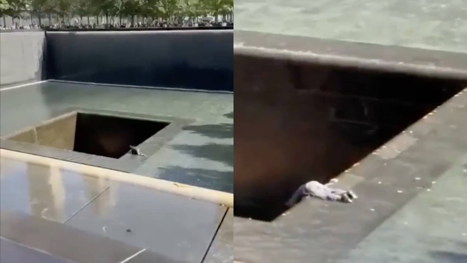 Man jumps into 9/11 Memorial reflecting pool | INQUIRER.net USA