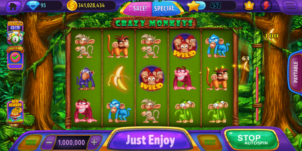 DingDingDing social casino gaming