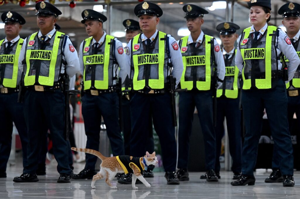 Conan the security cat walking past security guards in formation outside an office building in Mandaluyong, Metro Manila | Photos by Jam Sta Rosa/AFP