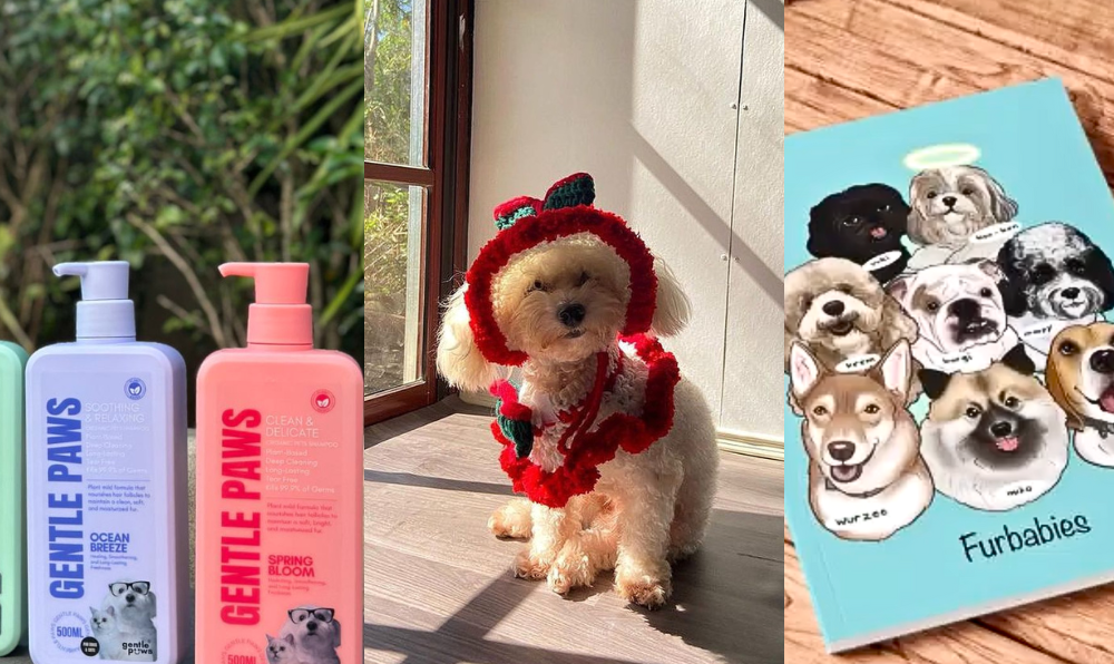 Gift guide: Locally made products for animal lovers and fur parents