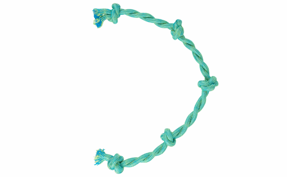 Durable green and blue five-knot rope dog toy designed for tugging and chewing.