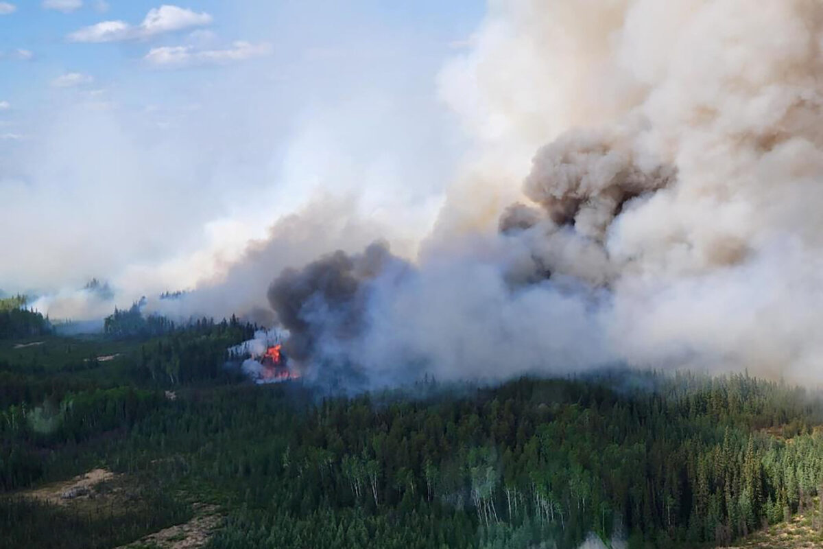 Alberta wildfire season starts early as Canada's mild winter persists