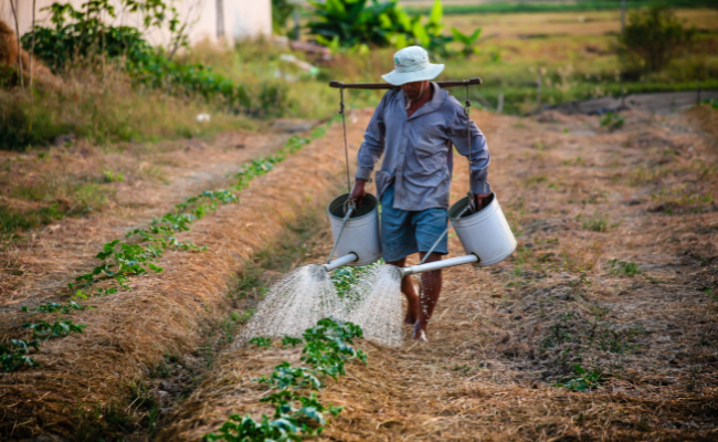 Filipino farmers battle drought amid intense heatwave