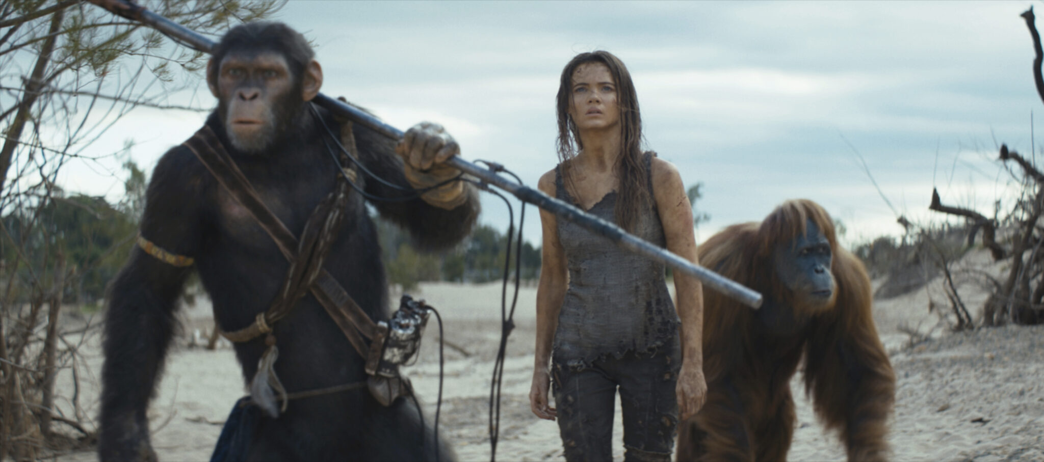 ‘Kingdom of the Planet of the Apes’ opens with $56.5 million