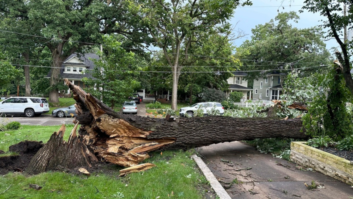 Severe storms with tornado reports whip through Midwest killing a resident