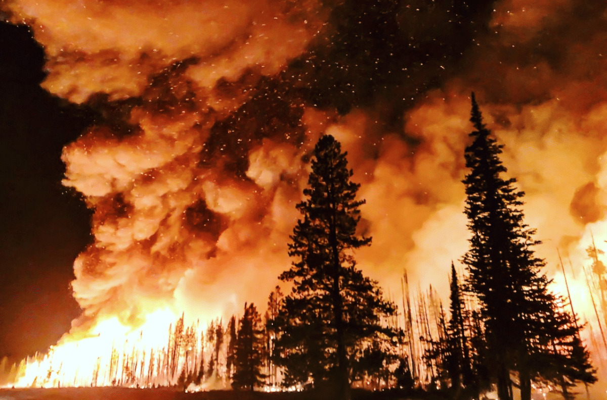 Wildfires