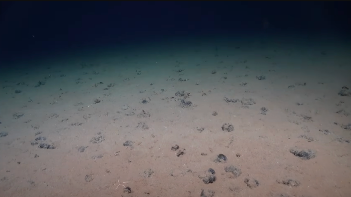 Groundbreaking study discovers ‘dark oxygen’ 13,000 feet below sea surface