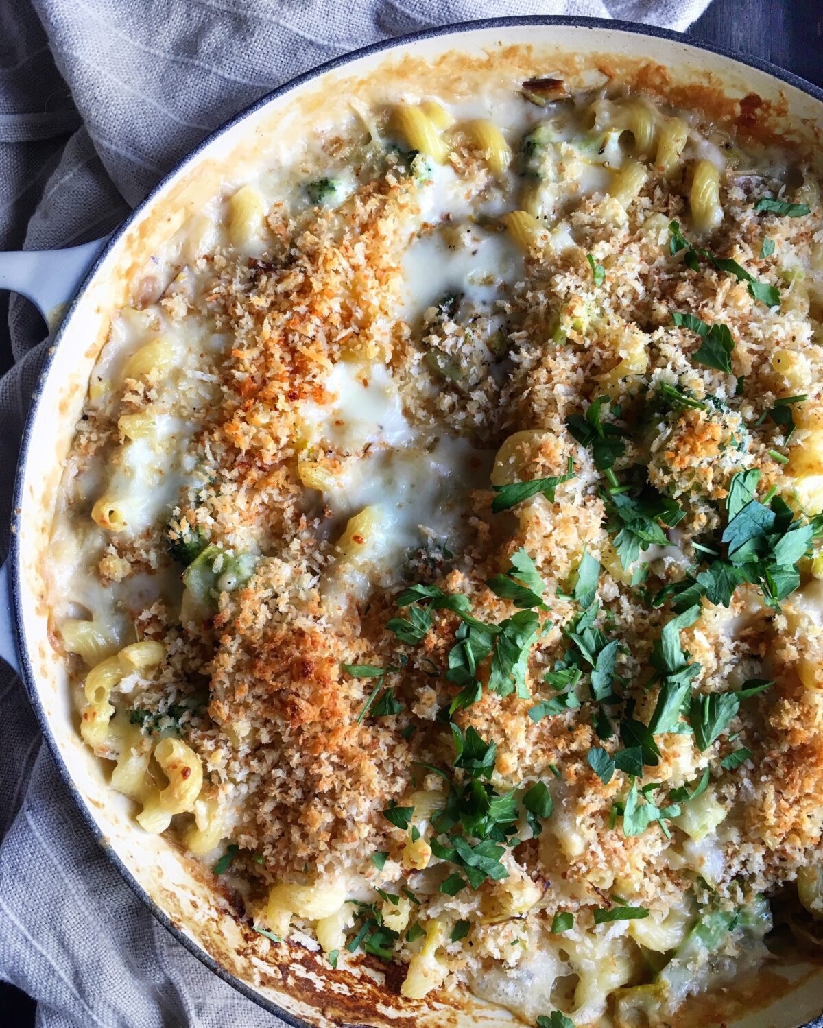 Chicken and broccoli macaroni and cheese