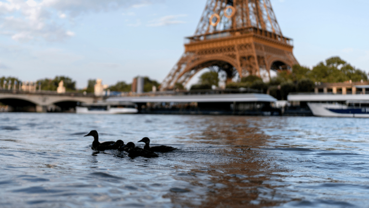 Olympic marathon swim test run canceled over water quality concerns for Seine River