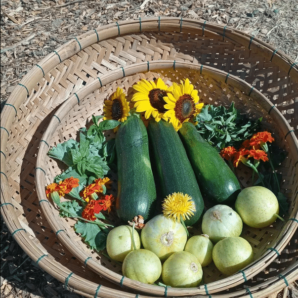 Remagination Farm produce