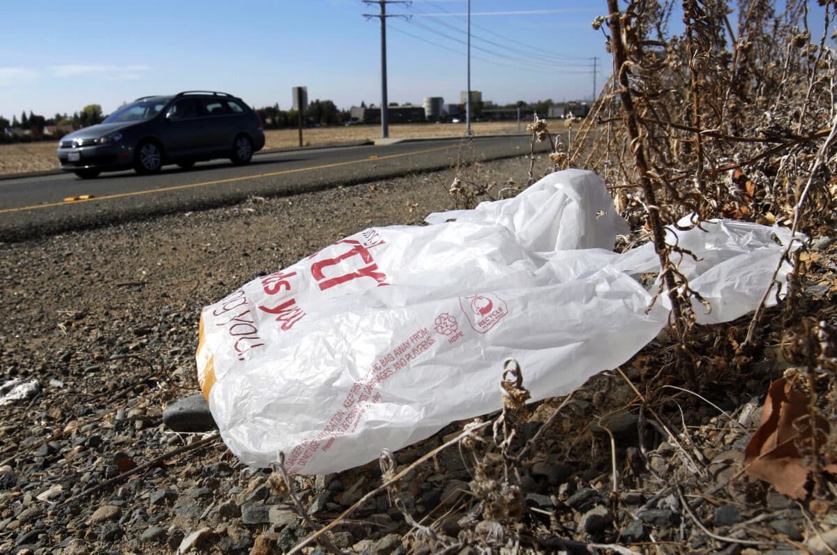 Plastic grocery bags ban