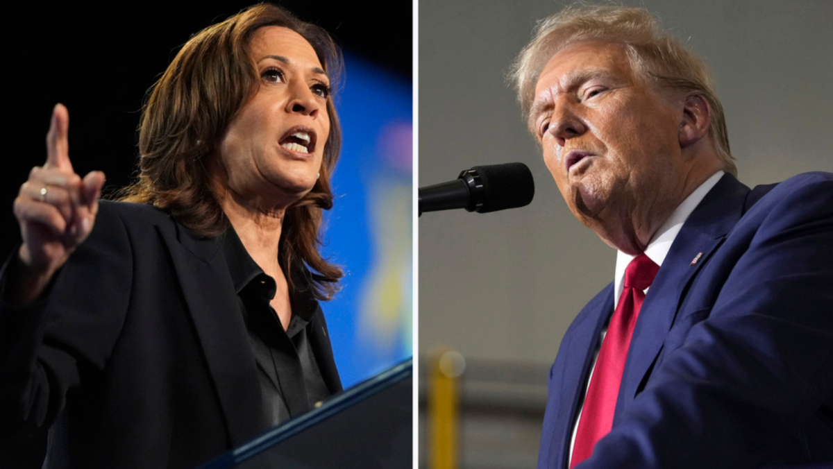 Two closing arguments show the stark choice between Trump and Harris