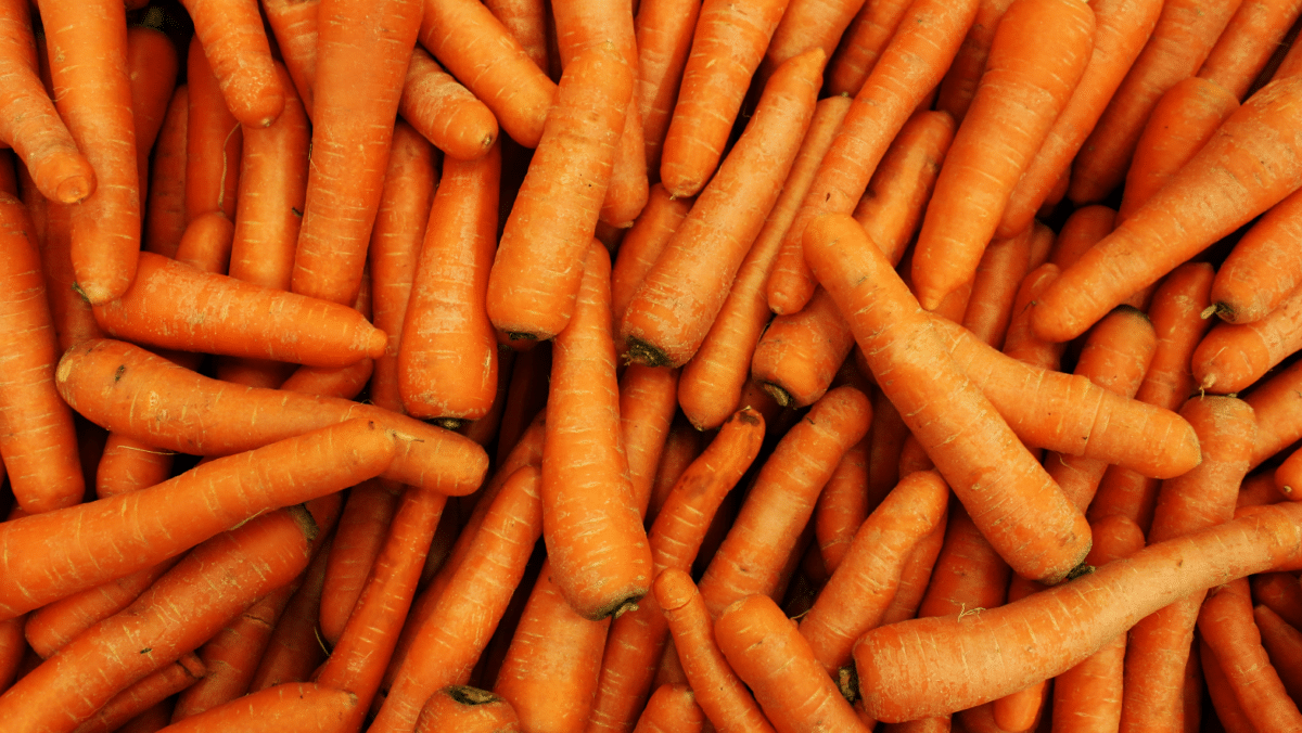 Dozens are sickened and 1 person died after eating contaminated carrots