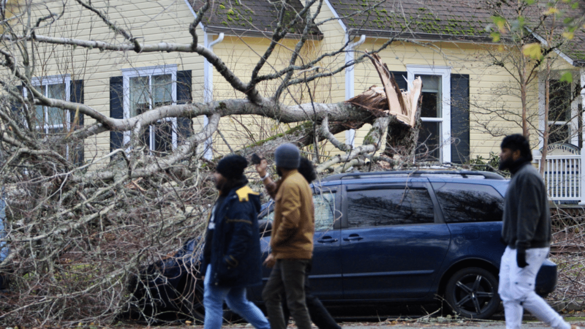 'Bomb cyclone' kills 2 and knocks out power to over half a million homes across the US Northwest