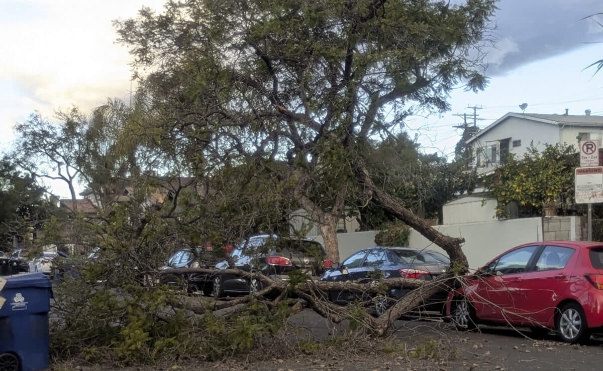 Windstorm California