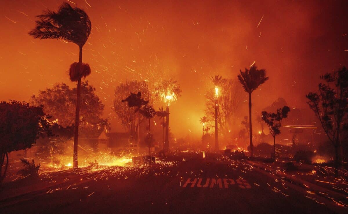 LA fires