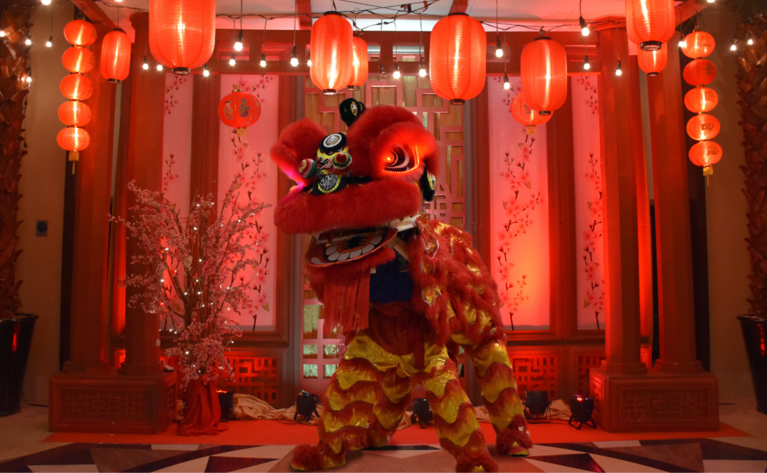 10 Chinese New Year traditions for good fortune in 2025