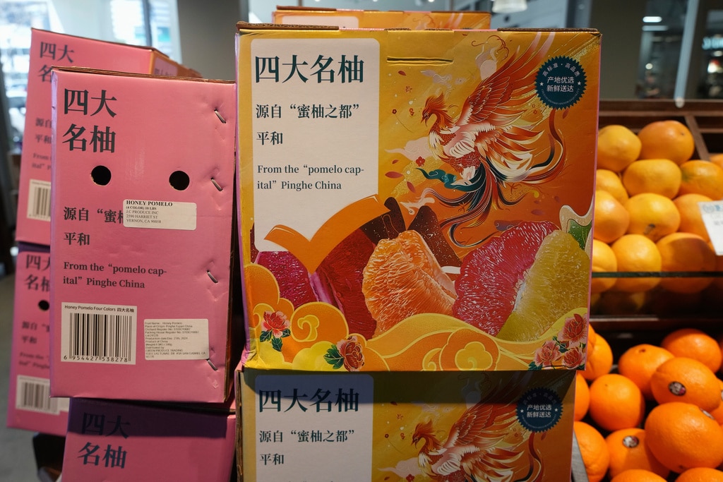 Trump tariffs worry US shoppers who buy groceries at Asian supermarkets