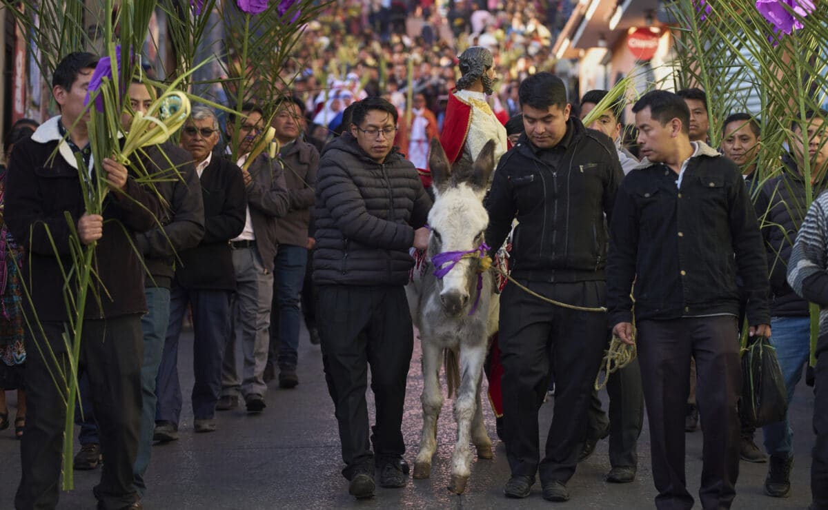 Palm Sunday