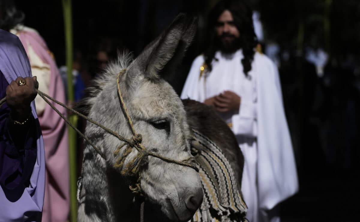 Palm Sunday