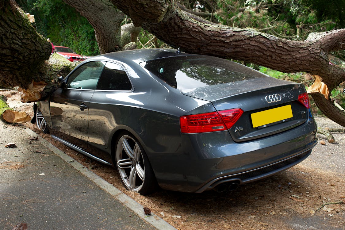 Damaged Audi car under a fallen tree, featured in a section discussing the disadvantages of Capital One Auto Financing, including a limited dealer network, better rates for higher credit scores elsewhere, and vehicle restrictions.