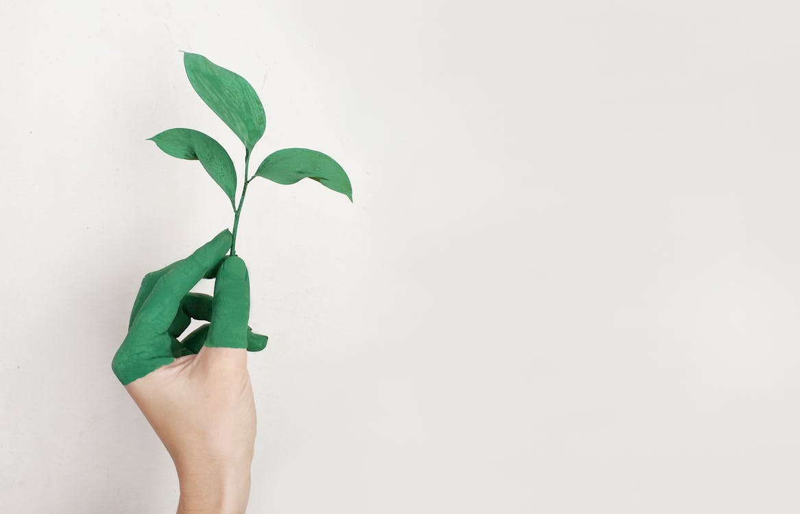 Hand holding a small plant symbolizing financial growth and credit-building with Fig Loans.