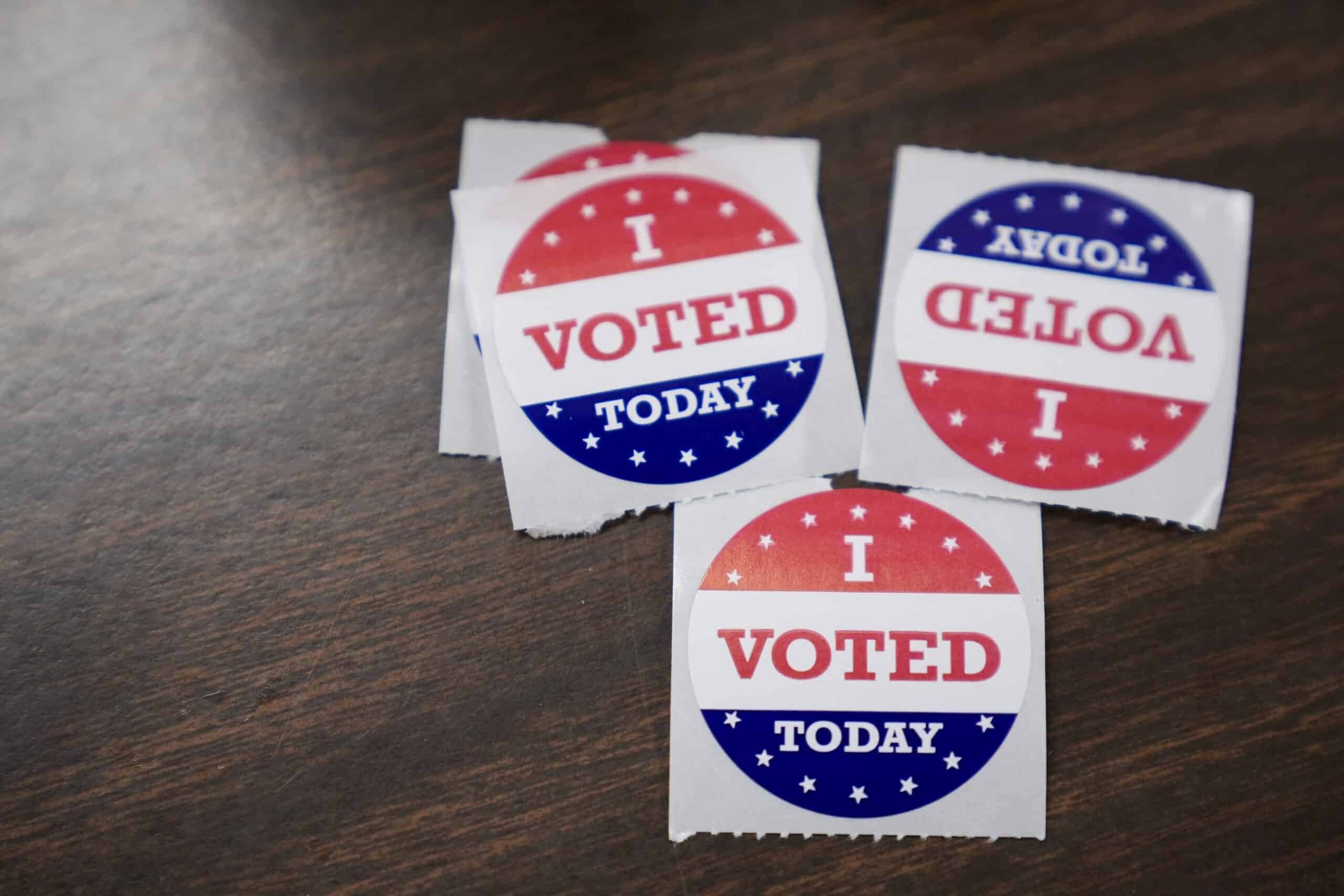 Woman accused of registering her dog to vote