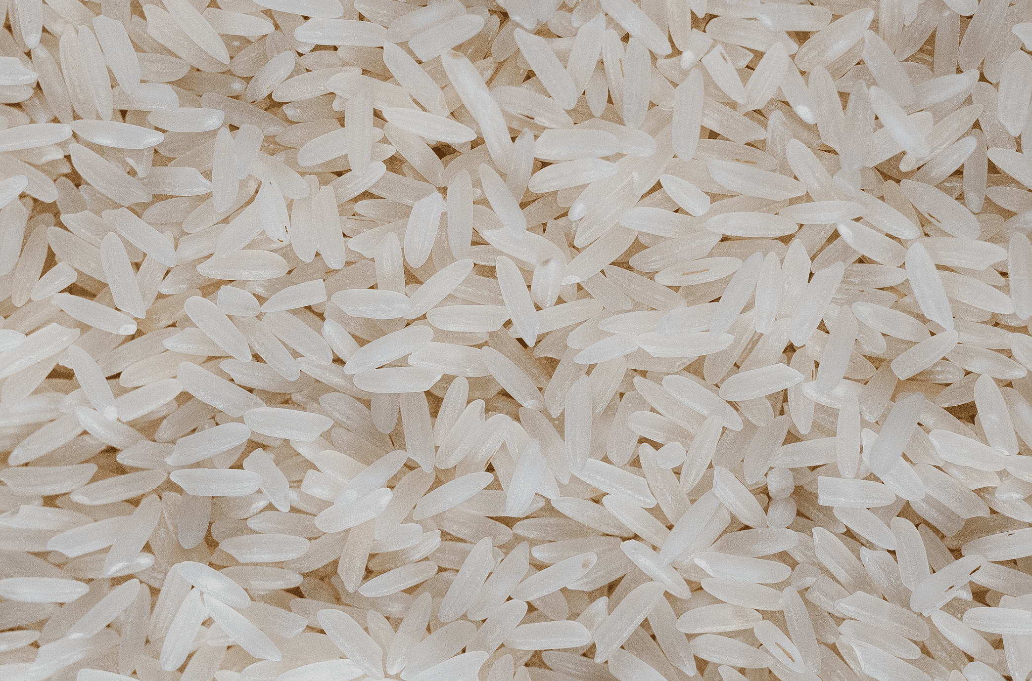 Lundberg White Jasmine rice recalled