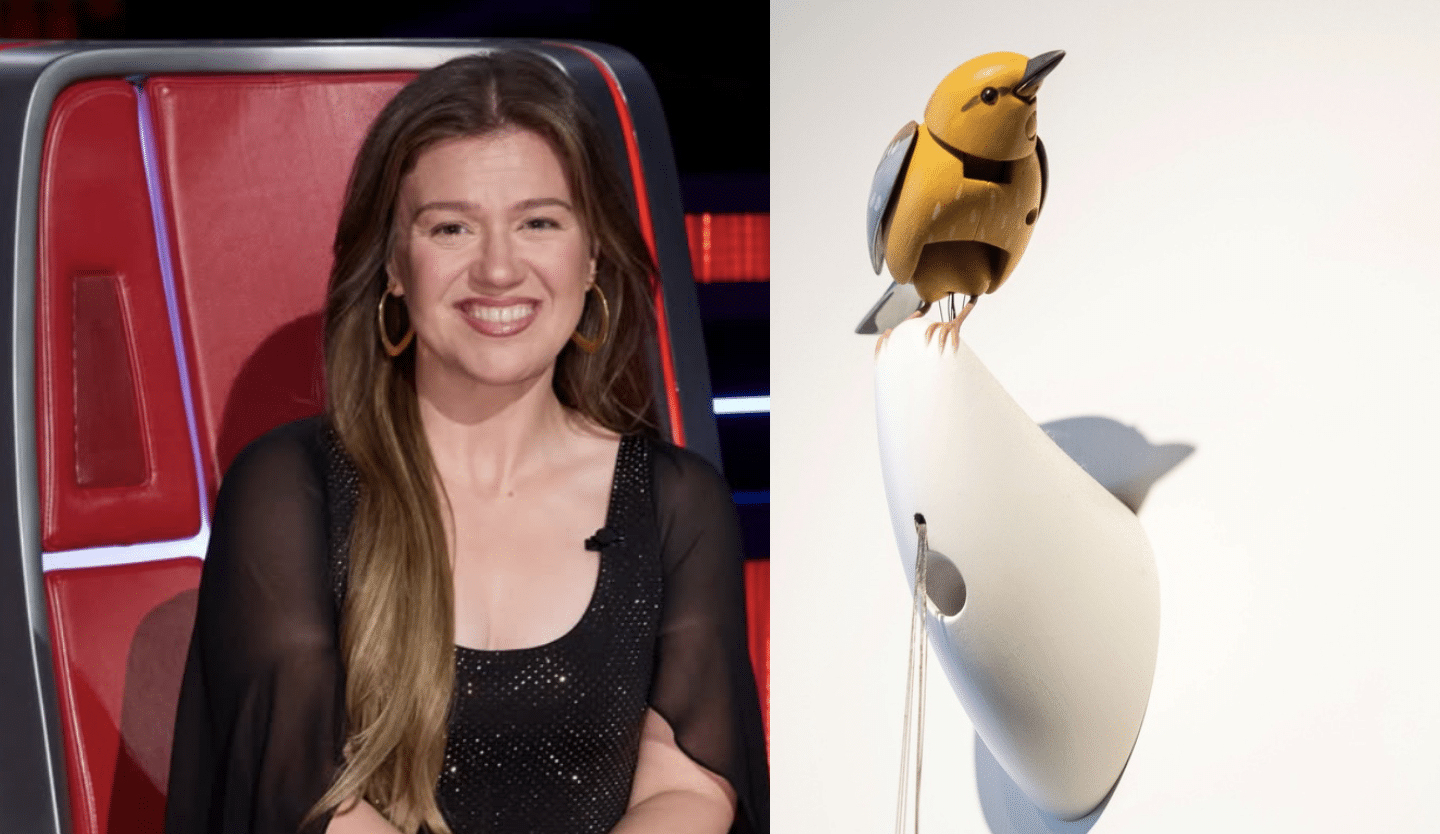 Kelly Clarkson, Brooklyn store clash on social media: What to know